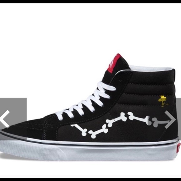 Vans - Picture 6 of 7